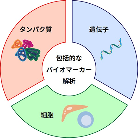試験概要