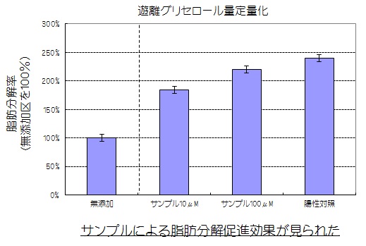 遊離グリセロールの定量(脂肪分解率)
